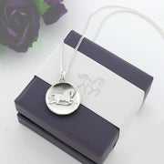 Designer solid silver horse inspired coin necklace displayed on Sylvia kerr Jewellery presentation box.